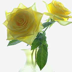 photo "Yellow Roses"