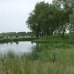 photo "Landscape at Spaarndam"