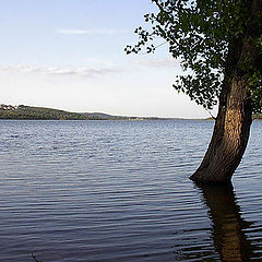 photo "Water for all"