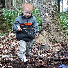 photo "dennis in the woods"