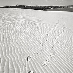 photo "Footprint in the sand"