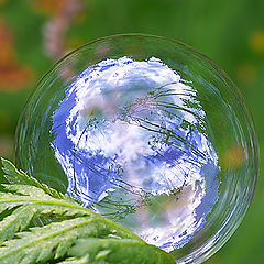 photo "Soap Bubble"