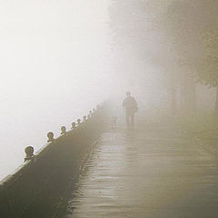 photo "Fog morning"