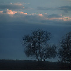 photo "A Winter Day Down in..."