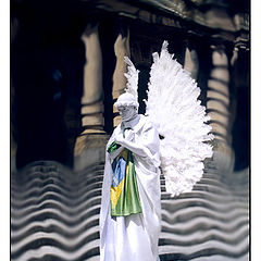 фото "White Angel"