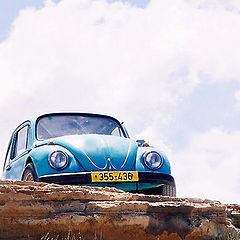 photo "the BUG Dark blue"