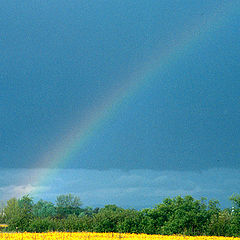 фото "Rainbow"
