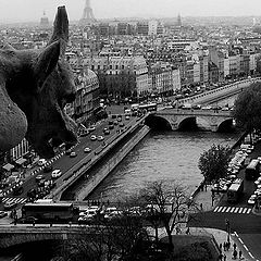 фото "Gargoyles Over Paris"