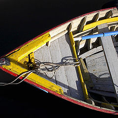 photo "Tejo`s boat"