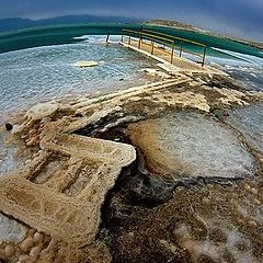 фото "The Dead Sea"