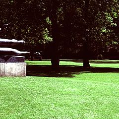 photo "Untitled photo"