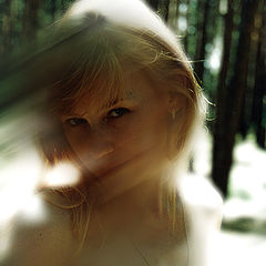 photo "... A wood, sun, ветерок-so gently embrace..."