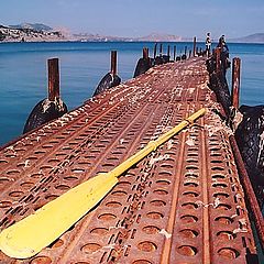 photo "Yellow on rusty"