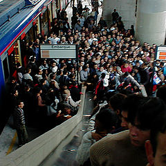 фото "The Daily Crowd"