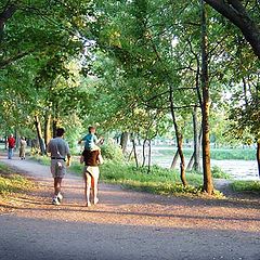 photo "Evening walks"