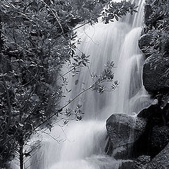 photo "Waterfall"
