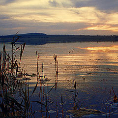 photo "On lake Tagarskoe"