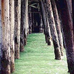 photo "Under the pier"
