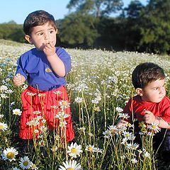 фото "Luka & Saba"