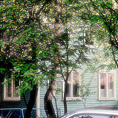 photo "Windows..."