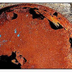 фото "Rusty"