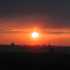 photo "In the light of Sunset"