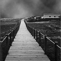 фото "Storm"
