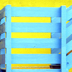 photo "Yellow and Blue."