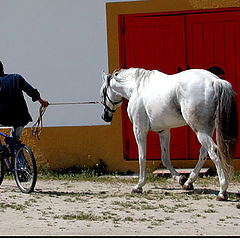 photo "cyclist? cavalier? you can never tell!"