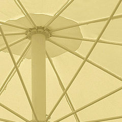 photo "Umbrella ribs"
