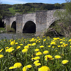 photo "The aged bridge."