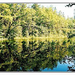 photo "The mirror of the silence"