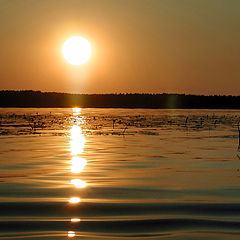 photo "Sunset on lake"
