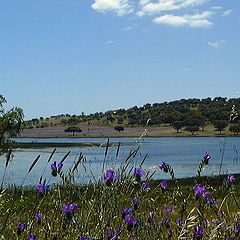 photo "Alentejo Landscape - Portugal"