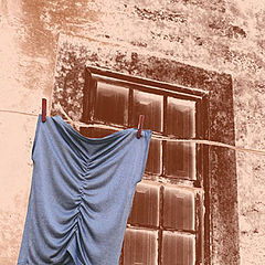 фото ""Lame" over window/Lame sobre janela"