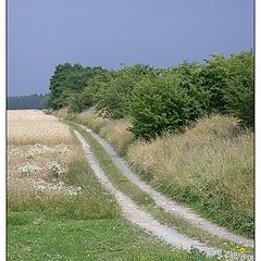 photo "Before the Thunderstorm"