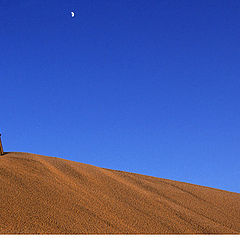 photo "On The Sand"