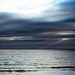 фото "untitled"