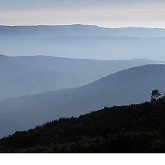 photo "Fogs in blue"