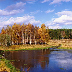 фото "Золотая осень"