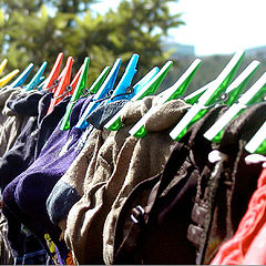 фото "Laundry"