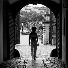 фото "To the backyard of Castle Meickersheim"