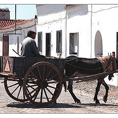 photo "Cart Man"