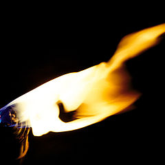 photo "the flame dance"