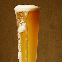 photo "Beer"