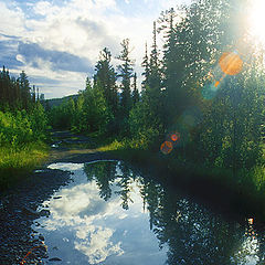 photo "Reflection whilst in transit"