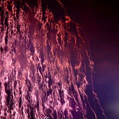 photo "Fireworks"