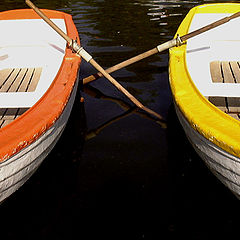 photo "Fencing"