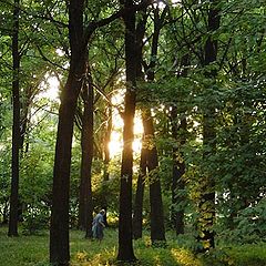 photo "In park in the evening"