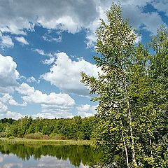 photo "Landscape near Moscow"